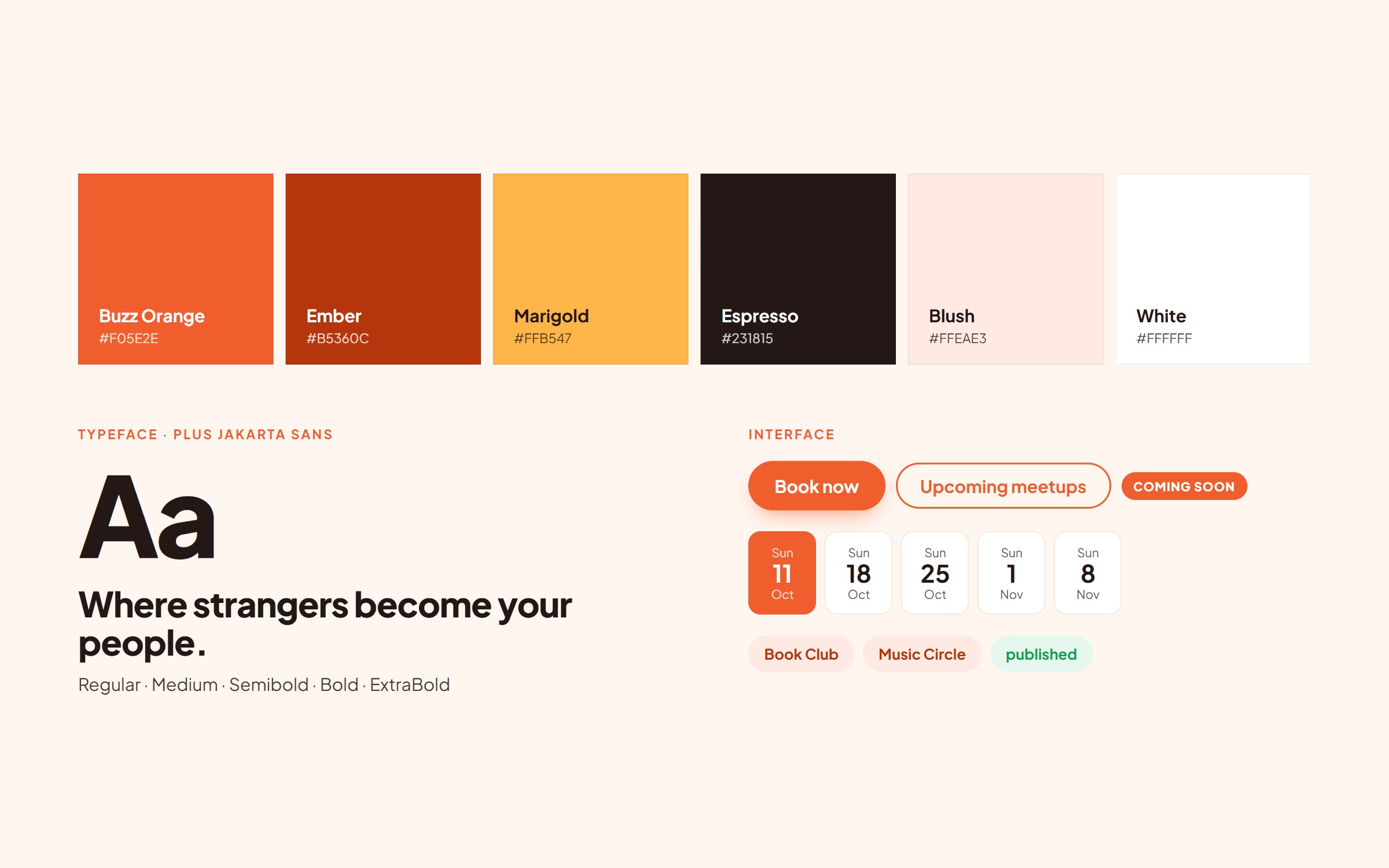 Buzz & Bond colour palette, Plus Jakarta Sans type specimen and interface components