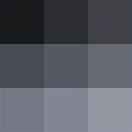 Dark Neutrals